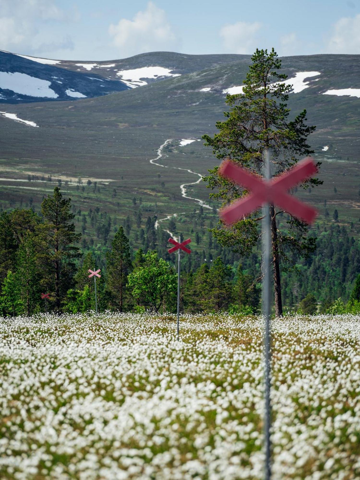 Loevasgardens Fjaellhotell Lovasen Bagian luar foto