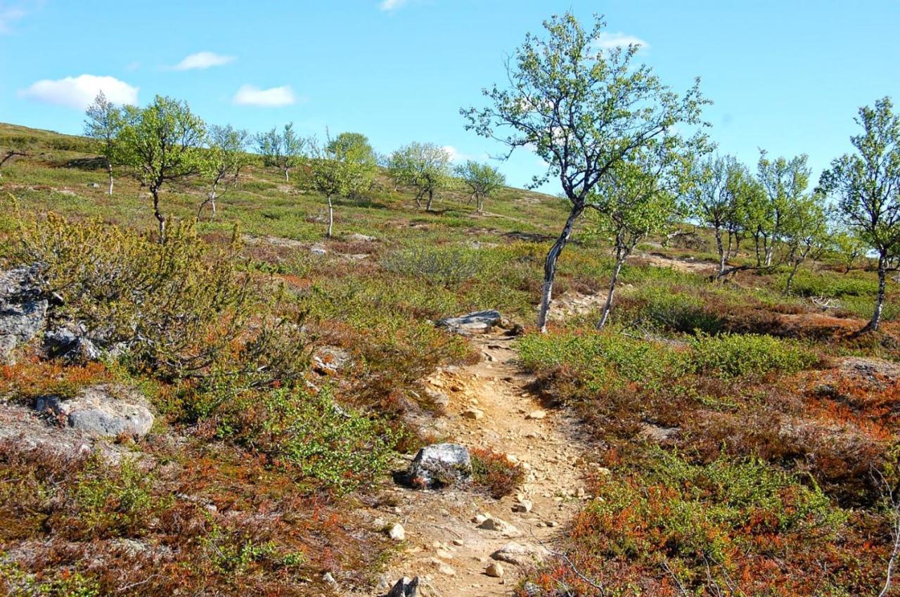 Loevasgardens Fjaellhotell Lovasen Bagian luar foto
